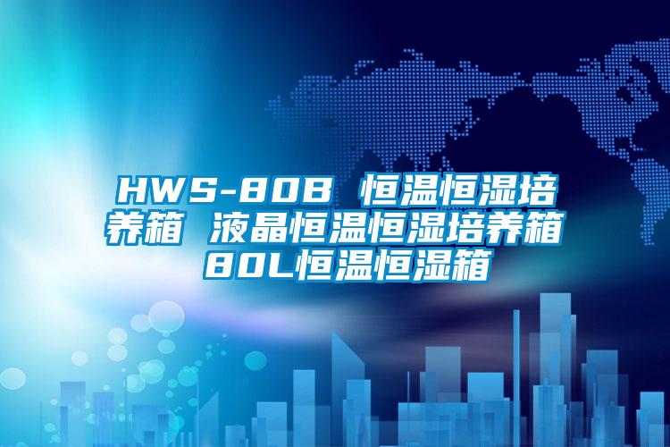 HWS-80B 恒溫恒濕培養箱 液晶恒溫恒濕培養箱 80L恒溫恒濕箱