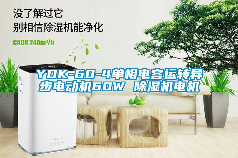 YDK-60-4單相電容運轉異步電動機60W 除濕機電機