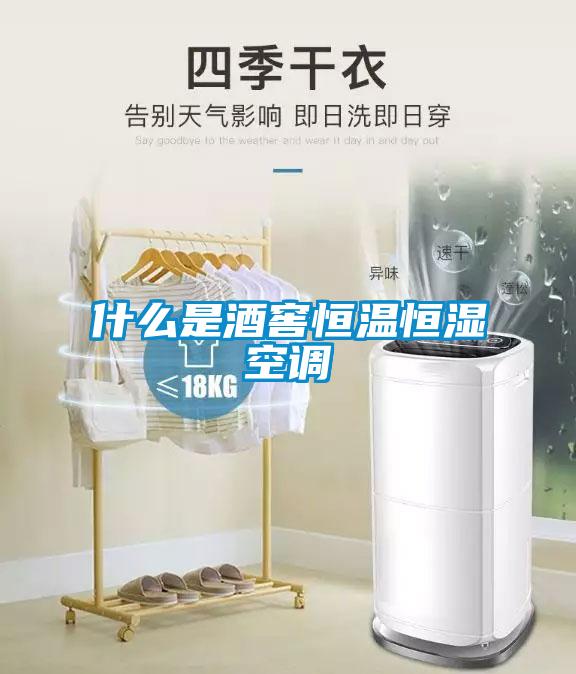 什么是酒窖恒溫恒濕空調