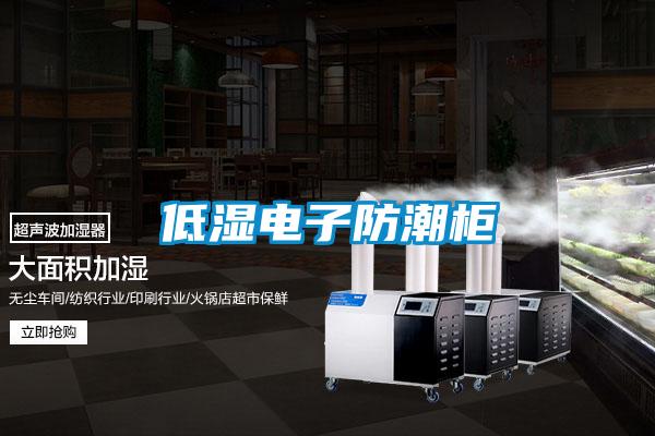 低濕電子防潮柜