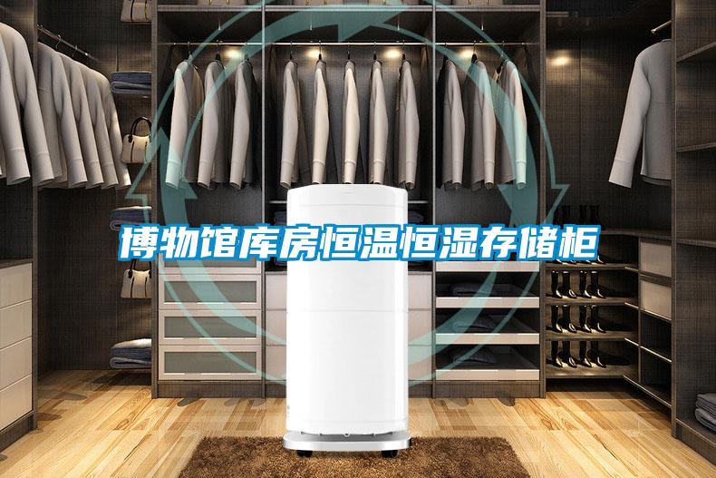 博物館庫房恒溫恒濕存儲(chǔ)柜