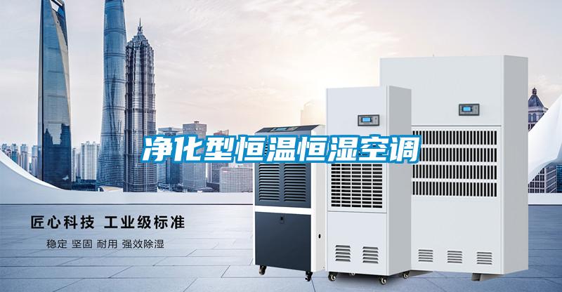 凈化型恒溫恒濕空調