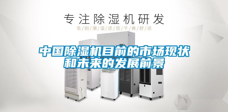 中國除濕機目前的市場現狀和未來的發展前景