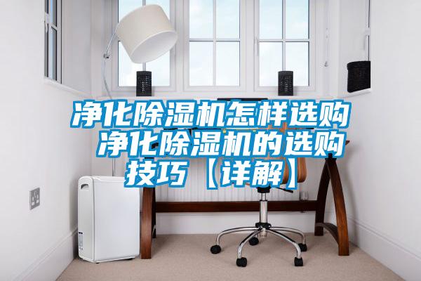 凈化除濕機怎樣選購 凈化除濕機的選購技巧【詳解】