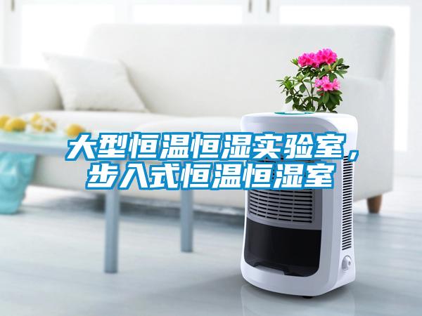 大型恒溫恒濕實驗室，步入式恒溫恒濕室