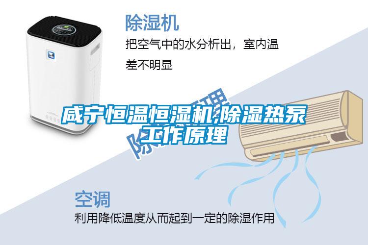 咸寧恒溫恒濕機,除濕熱泵工作原理