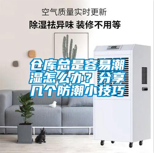 倉庫總是容易潮濕怎么辦？分享幾個(gè)防潮小技巧