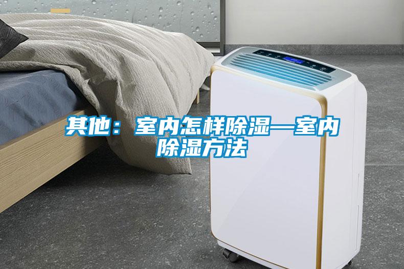 其他：室內(nèi)怎樣除濕—室內(nèi)除濕方法