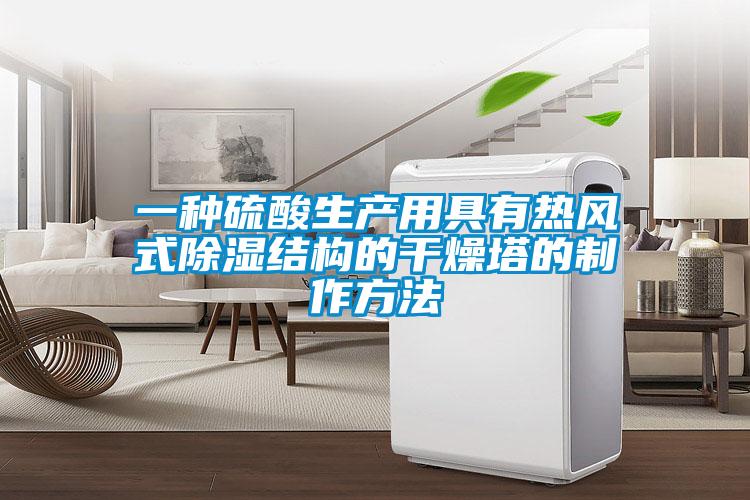 一種硫酸生產用具有熱風式除濕結構的干燥塔的制作方法