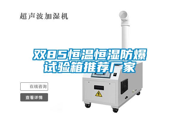 雙85恒溫恒濕防爆試驗(yàn)箱推薦廠家