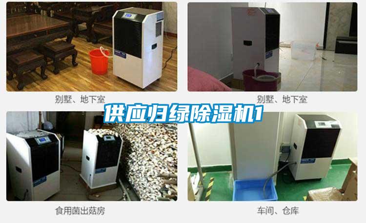 供應(yīng)歸綠除濕機(jī)1