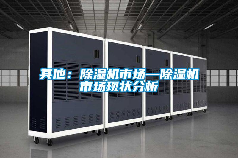 其他：除濕機市場—除濕機市場現狀分析