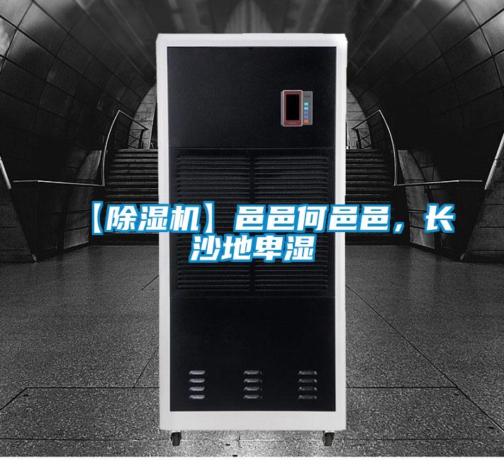 【除濕機】邑邑何邑邑，長沙地卑濕