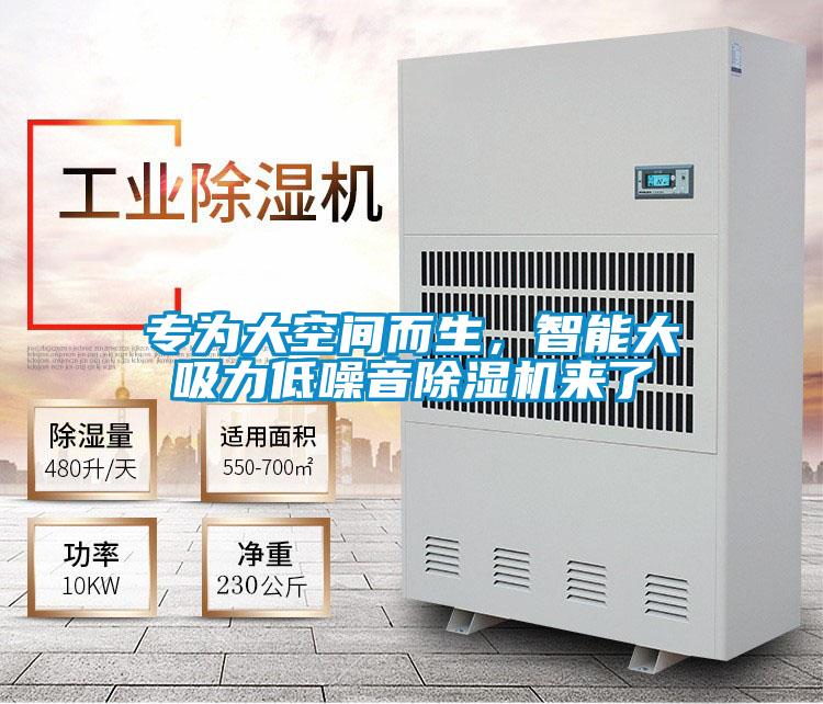 專為大空間而生，智能大吸力低噪音除濕機來了