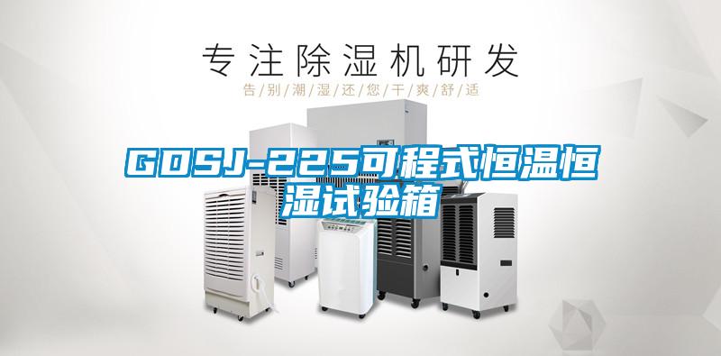 GDSJ-225可程式恒溫恒濕試驗箱