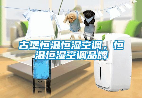 古堡恒溫恒濕空調，恒溫恒濕空調品牌