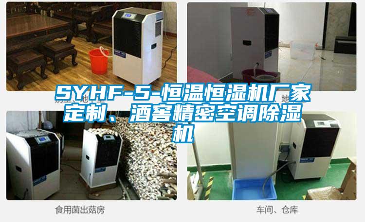 SYHF-5-恒溫恒濕機(jī)廠家定制、酒窖精密空調(diào)除濕機(jī)