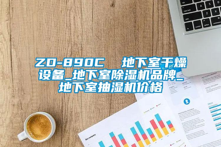 ZD-890C  地下室干燥設(shè)備_地下室除濕機(jī)品牌_地下室抽濕機(jī)價(jià)格