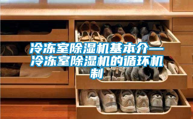 冷凍室除濕機基本介—冷凍室除濕機的循環機制