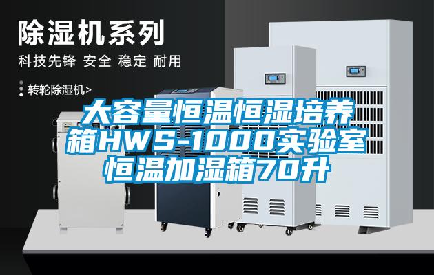 大容量恒溫恒濕培養箱HWS-1000實驗室恒溫加濕箱70升