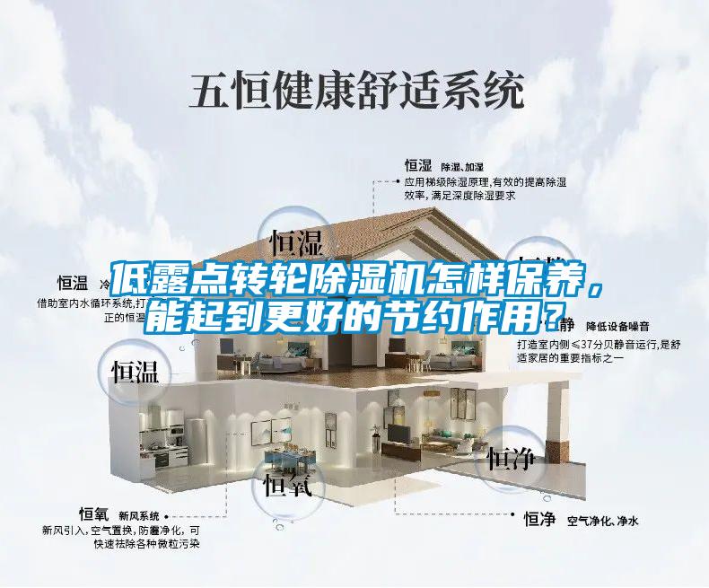 低露點(diǎn)轉(zhuǎn)輪除濕機(jī)怎樣保養(yǎng)，能起到更好的節(jié)約作用？