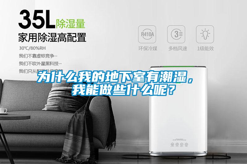 為什么我的地下室有潮濕， 我能做些什么呢？