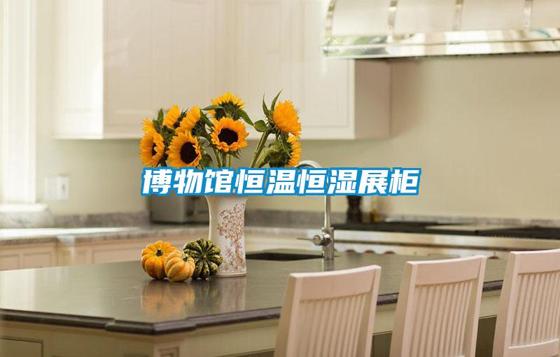 博物館恒溫恒濕展柜