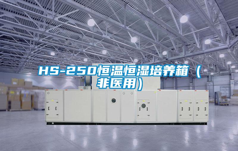 HS-250恒溫恒濕培養箱（非醫用）