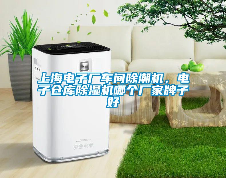上海電子廠車間除潮機，電子倉庫除濕機哪個廠家牌子好