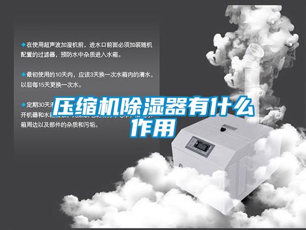 壓縮機除濕器有什么作用