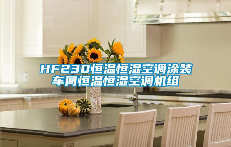 HF230恒溫恒濕空調(diào)涂裝車間恒溫恒濕空調(diào)機(jī)組