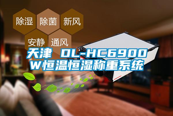 天津 DL-HC6900W恒溫恒濕稱重系統
