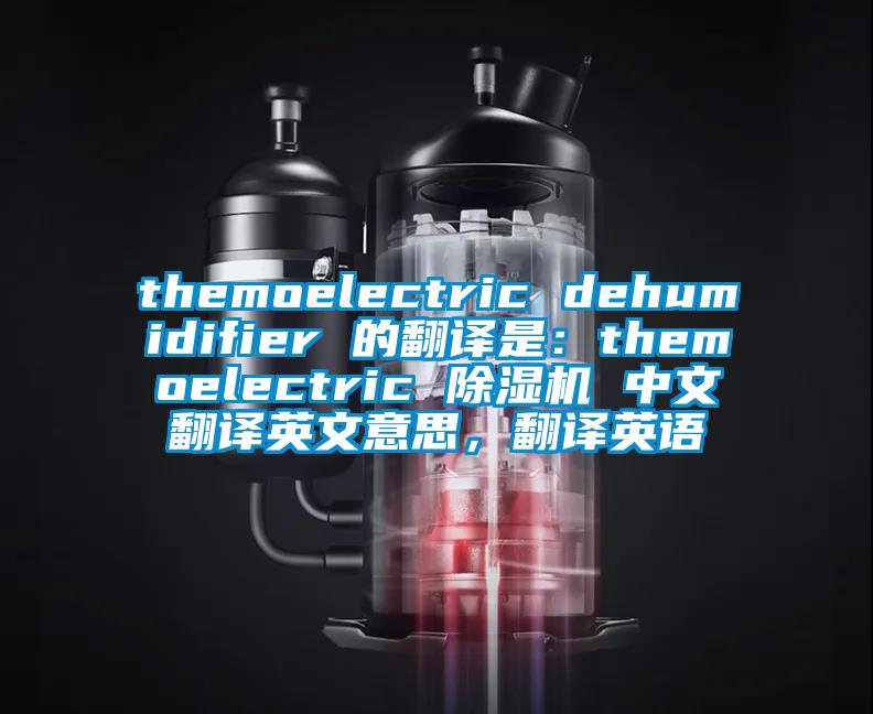 themoelectric dehumidifier 的翻譯是：themoelectric 除濕機 中文翻譯英文意思，翻譯英語