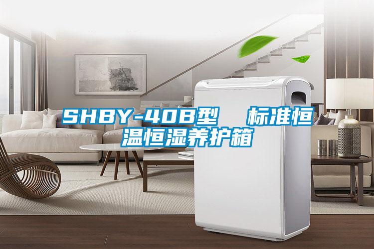 SHBY-40B型  標(biāo)準(zhǔn)恒溫恒濕養(yǎng)護(hù)箱