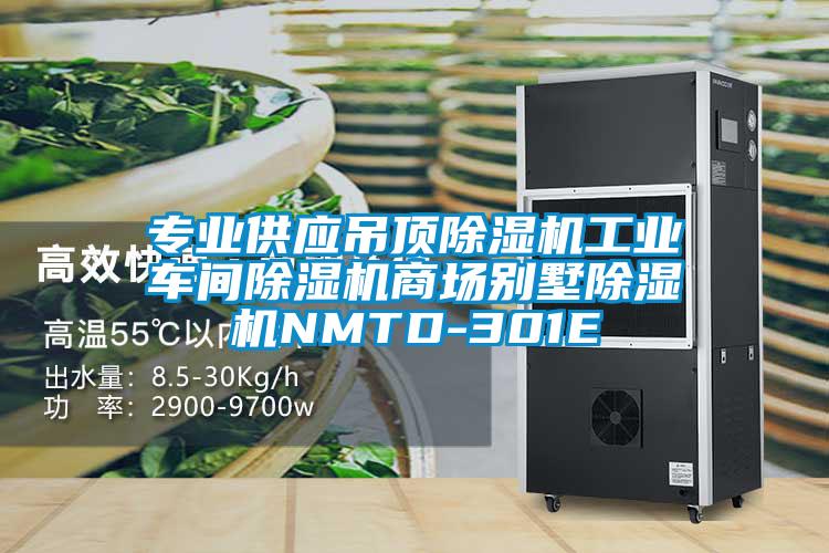 專(zhuān)業(yè)供應(yīng)吊頂除濕機(jī)工業(yè)車(chē)間除濕機(jī)商場(chǎng)別墅除濕機(jī)NMTD-301E