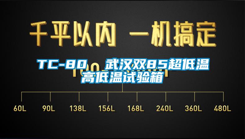 TC-80  武漢雙85超低溫高低溫試驗箱
