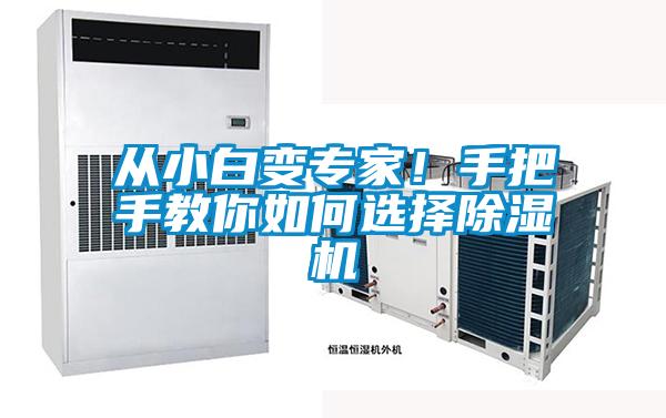 從小白變專家！手把手教你如何選擇除濕機