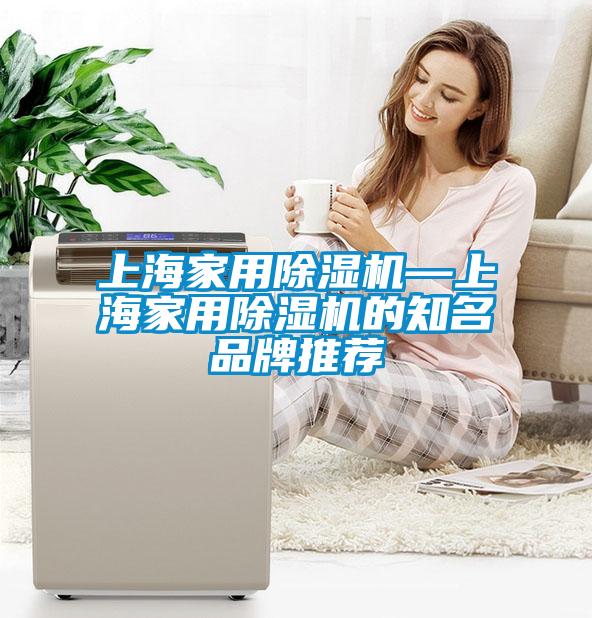 上海家用除濕機—上海家用除濕機的知名品牌推薦