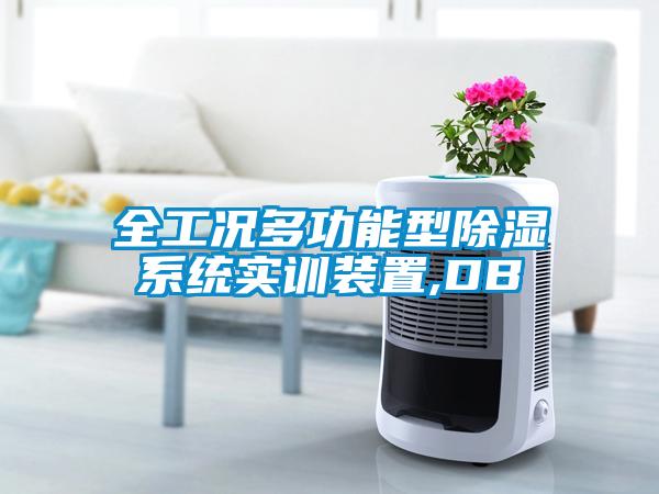 全工況多功能型除濕系統(tǒng)實訓(xùn)裝置,DB