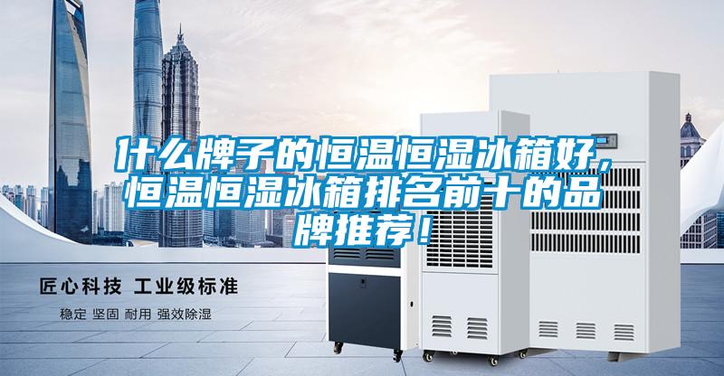 什么牌子的恒溫恒濕冰箱好，恒溫恒濕冰箱排名前十的品牌推薦！
