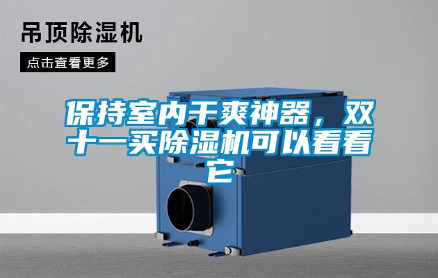 保持室內干爽神器，雙十一買除濕機可以看看它