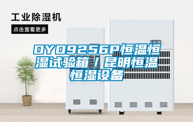 OYO9256P恒溫恒濕試驗(yàn)箱／昆明恒溫恒濕設(shè)備