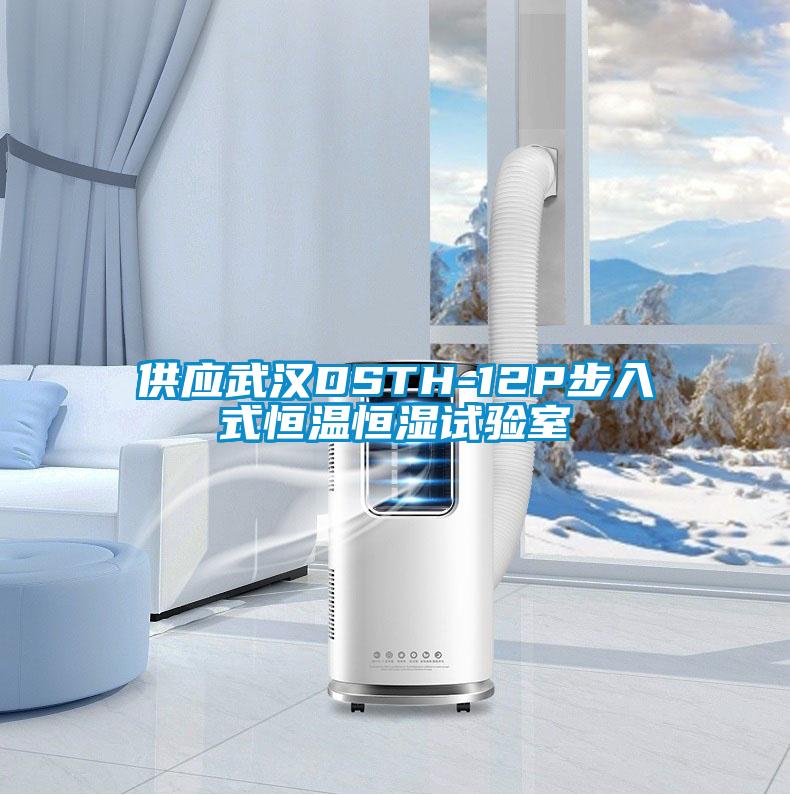 供應武漢DSTH-12P步入式恒溫恒濕試驗室