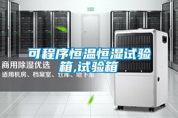 可程序恒溫恒濕試驗(yàn)箱,試驗(yàn)箱