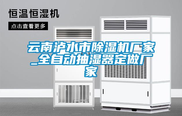 云南瀘水市除濕機(jī)廠家_全自動抽濕器定做廠家