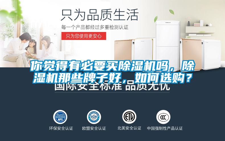 你覺得有必要買除濕機嗎，除濕機那些牌子好，如何選購？