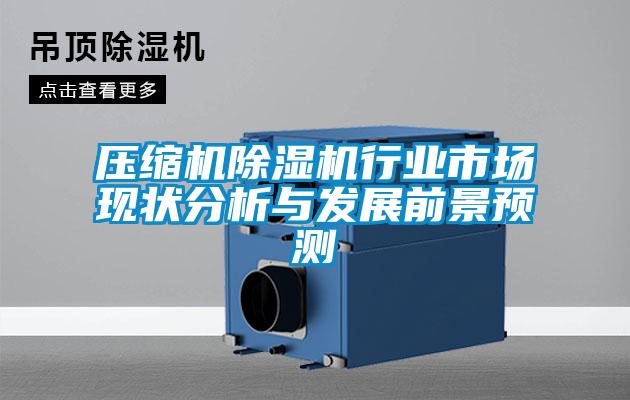 壓縮機除濕機行業市場現狀分析與發展前景預測