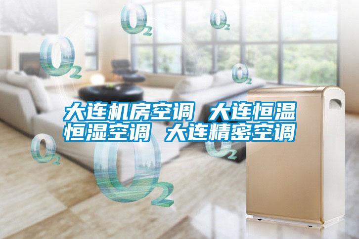大連機(jī)房空調(diào) 大連恒溫恒濕空調(diào) 大連精密空調(diào)