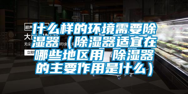 什么樣的環境需要除濕器（除濕器適宜在哪些地區用 除濕器的主要作用是什么）