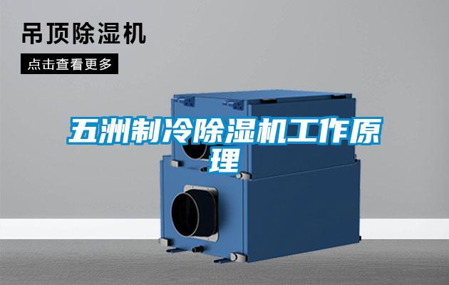 五洲制冷除濕機工作原理
